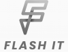 Flash IT Managed Services Provider Avatar